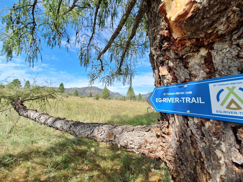 Unforgettable Experiences