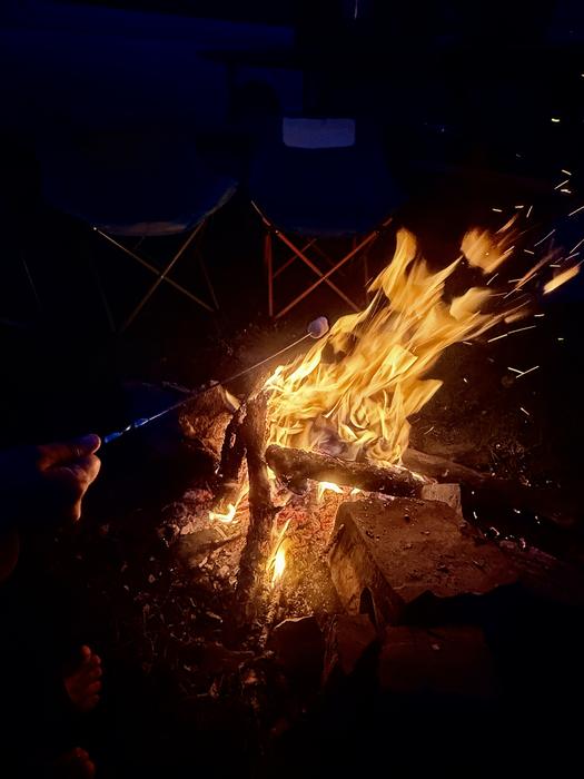 Campfire under the night sky